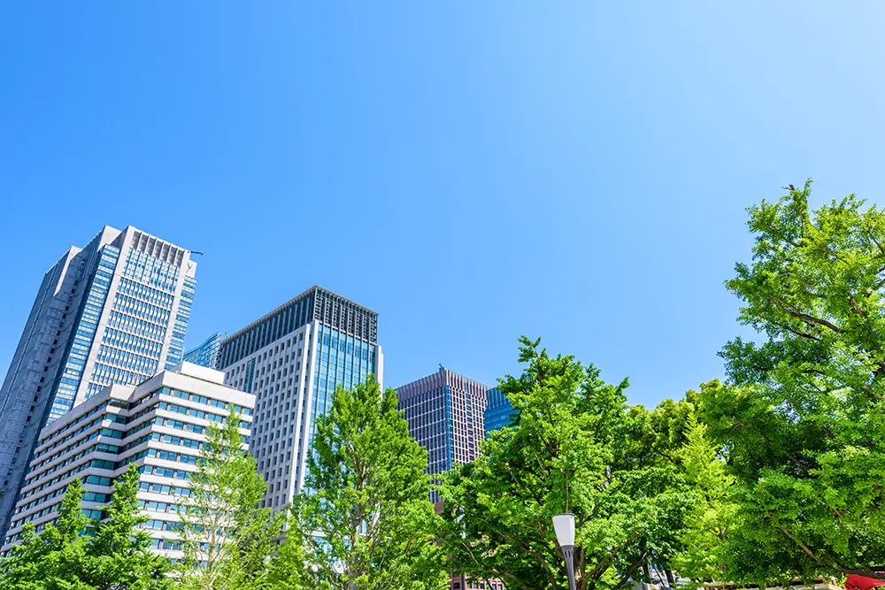 セーフトラスト株式会社